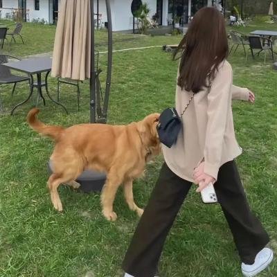 海边的摇篮曲